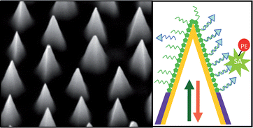 Graphical abstract: Opto-electrochemical nanosensor array for remote DNA detection