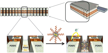 Graphical abstract: Electric detection of DNA with PDMS microgap electrodes and silver nanoparticles