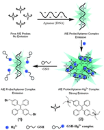 Graphical abstract: Label-free fluorescence detection of mercury(ii) and glutathione based on Hg2+-DNA complexes stimulating aggregation-induced emission of a tetraphenylethene derivative
