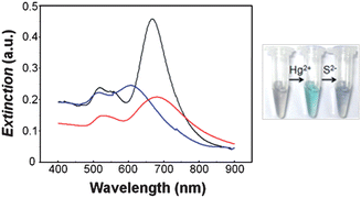 Graphical abstract: Chemical redox-regulated mesoporous silica-coated gold nanorods for colorimetric probing of Hg2+ and S2−