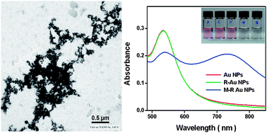 Graphical abstract: Melamine sensing through riboflavin stabilized gold nanoparticles