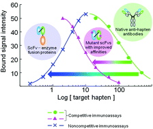 Graphical abstract: Antibody engineering toward high-sensitivity high-throughput immunosensing of small molecules