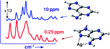 Graphical abstract: Surface enhanced Raman evidence for Ag+ complexes of adenine, deoxyadenosine and 5′-dAMP formed in silver colloids