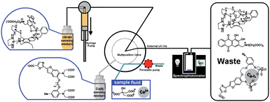 Graphical abstract: Development of an online citrate/Ca2+ sensing system for dialysis