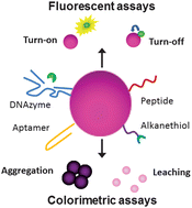 Graphical abstract: Gold nanoparticle probes for the detection of mercury, lead and copper ions