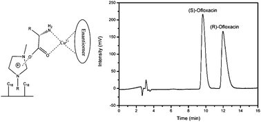 Graphical abstract: Chiral separation and determination of ofloxacin enantiomers by ionic liquid-assisted ligand-exchange chromatography