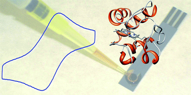 Graphical abstract: Screen printed graphite macroelectrodes for the direct electron transfer of cytochrome c
