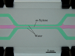 Graphical abstract: An inkjet-printed microfluidic device for liquid–liquid extraction