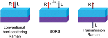 Graphical abstract: Non-invasive analysis of turbid samples using deep Raman spectroscopy