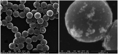 Graphical abstract: Quantitative SERS sensors for environmental analysis of naphthalene