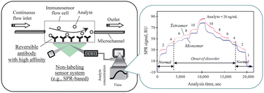 Graphical abstract: Minimum-step immuno-analysis based on continuous recycling of the capture antibody