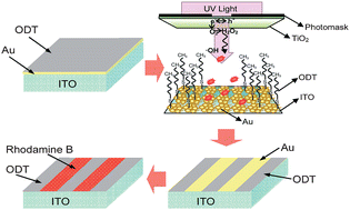 Graphical abstract: Fluorescence imaging of hydroxyl radicals at superhydrophobic gold flower-like surface in photocatalytic system