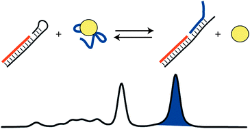 Graphical abstract: A simple and rapid approach for measurement of dissociation constants of DNA aptamers against proteins and small molecules via automated microchip electrophoresis