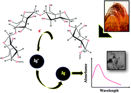 Graphical abstract: Determination of amylose in Iranian rice by multivariate calibration of the surface plasmon resonance spectra of silver nanoparticles