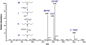 Graphical abstract: Detection of intermediates for the Eschweiler–Clarke reaction by liquid-phase reactive desorption electrospray ionization mass spectrometry