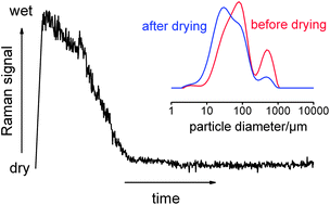 Graphical abstract: Studies of particle drying using non-invasive Raman spectrometry and particle size analysis