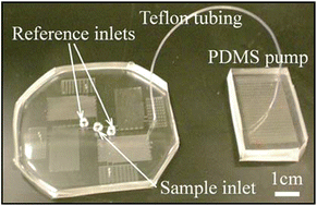 Graphical abstract: A PDMS viscometer for assaying endoglucanase activity