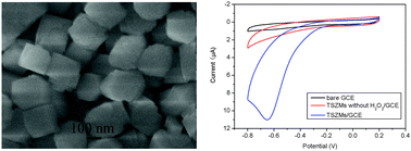 Graphical abstract: Titanium silicalite-1 zeolite microparticles for enzymeless H2O2 detection