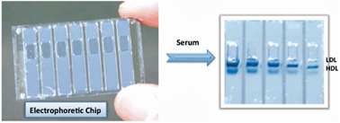 Graphical abstract: A rapid gel electrophoretic chip for serum cholesterol determination