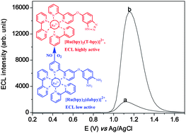 Graphical abstract: A ruthenium(ii) complex based turn-on electrochemiluminescence probe for the detection of nitric oxide