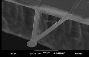 Graphical abstract: Microcantilever biosensors for chemicals and bioorganisms