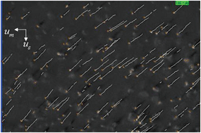 Graphical abstract: Quantification of changes in oxygen release from red blood cells as a function of age based on magnetic susceptibility measurements