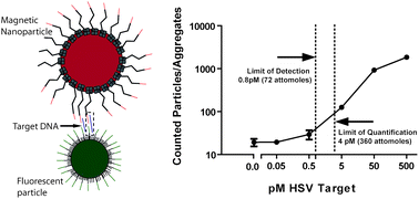 Graphical abstract: Amplification free detection of Herpes Simplex Virus DNA