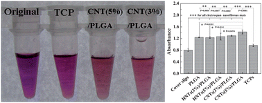 Graphical abstract: Exploring the dark side of MTT viability assay of cells cultured onto electrospun PLGA-based composite nanofibrous scaffolding materials