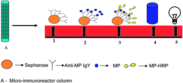 Graphical abstract: Chemiluminescence based technique for the detection of methyl parathion in water and fruit beverages