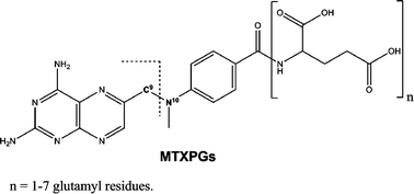 Graphical abstract: Expedient methodology for total methotrexate polyglutamation pool determination in human erythrocytes