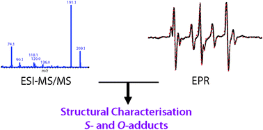 Graphical abstract: Combining EPR and ESI-MS/MS to study the reactivity of alkylthiols and cysteine towards 2-methyl-2-nitrosopropane (MNP)