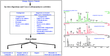 Graphical abstract: Chromatographic analysis of diverse fruit components using HPLC and UPLC