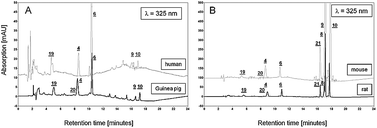 Graphical abstract: Qualitative and quantitative analysis of retinol, retinyl esters, tocopherols and selected carotenoids out of various internal organs from different species by HPLC