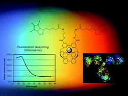 Graphical abstract: A homogeneous time-resolved fluoroimmunoassay (TR-FIA) using antibody mediated luminescence quenching