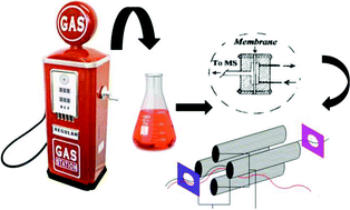 Graphical abstract: Natural and artificial markers of gasoline detected by membrane introduction mass spectrometry