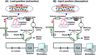 Graphical abstract: Analysis of contaminant polycyclic aromatic hydrocarbons in tea products and crude drugs