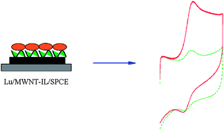 Graphical abstract: Electrocatalytic oxidation and nanomolar detection of hydrazine by luteolin electrodeposited at a multi-walled carbon nanotube and ionic liquid composite modified screen printed carbon electrode