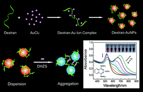 Graphical abstract: One-pot preparation of dextran-capped gold nanoparticles at room temperature and colorimetric detection of dihydralazine sulfate in uric samples