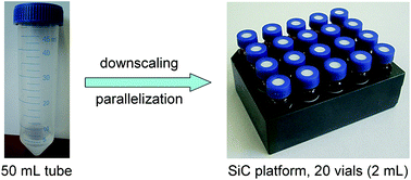 Graphical abstract: A miniaturized microtiter plate protocol for the determination of selenomethionine in selenized yeast via enzymatic hydrolysis of protein-bound selenium