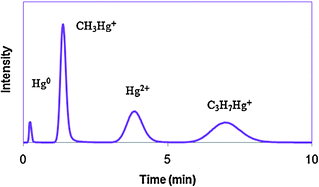 Graphical abstract: Trace-level automated mercury speciation analysis