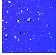 Graphical abstract: Monitoring of API particle size during solid dosage form manufacturing process by chemical imaging and particle sizing