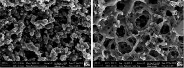 Graphical abstract: Quantification of ellagic acid in cosmetic products by using a partially preanodized screen-printed carbon electrode coupled with flow injection analysis