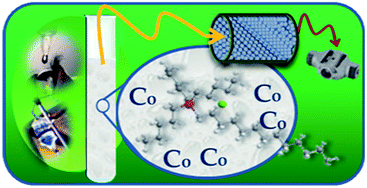 Graphical abstract: An online ionic liquid-based microextraction system coupled to electrothermal atomic absorption spectrometry for cobalt determination in environmental samples and pharmaceutical formulations