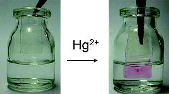 Graphical abstract: Colorimetric probing of Hg2+ in both solution and thin film