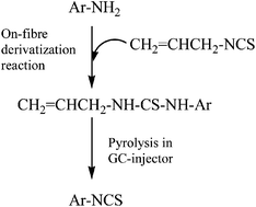 Graphical abstract: Headspace solid-phase microextraction and on-fibre derivatization of primary aromatic amines for their determination by pyrolysis to aryl isothiocyanates and gas chromatography-mass spectrometry