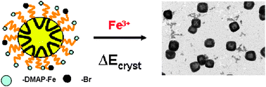 Graphical abstract: Prussian blue coordination polymer nanobox synthesis using miniemulsion periphery polymerization (MEPP)