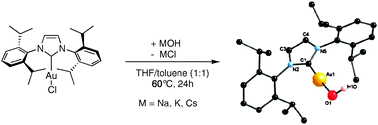 Graphical abstract: A N-heterocyclic carbene gold hydroxide complex: a golden synthon