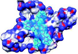 Graphical abstract: Bis-guanylhydrazone diimidazo[1,2-a:1,2-c]pyrimidine as a novel and specific G-quadruplex binding motif