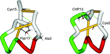 Graphical abstract: Stereochemistry of 4-hydroxyproline affects the conformation of conopeptides