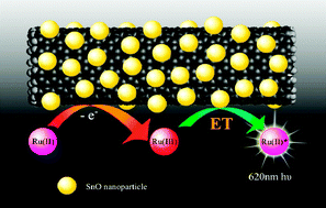 Graphical abstract: Strong electrochemiluminescence based on electron transfer between Tris(2,2′-bipyridine)ruthenium(iii) and SnO NPs@MWCNTs